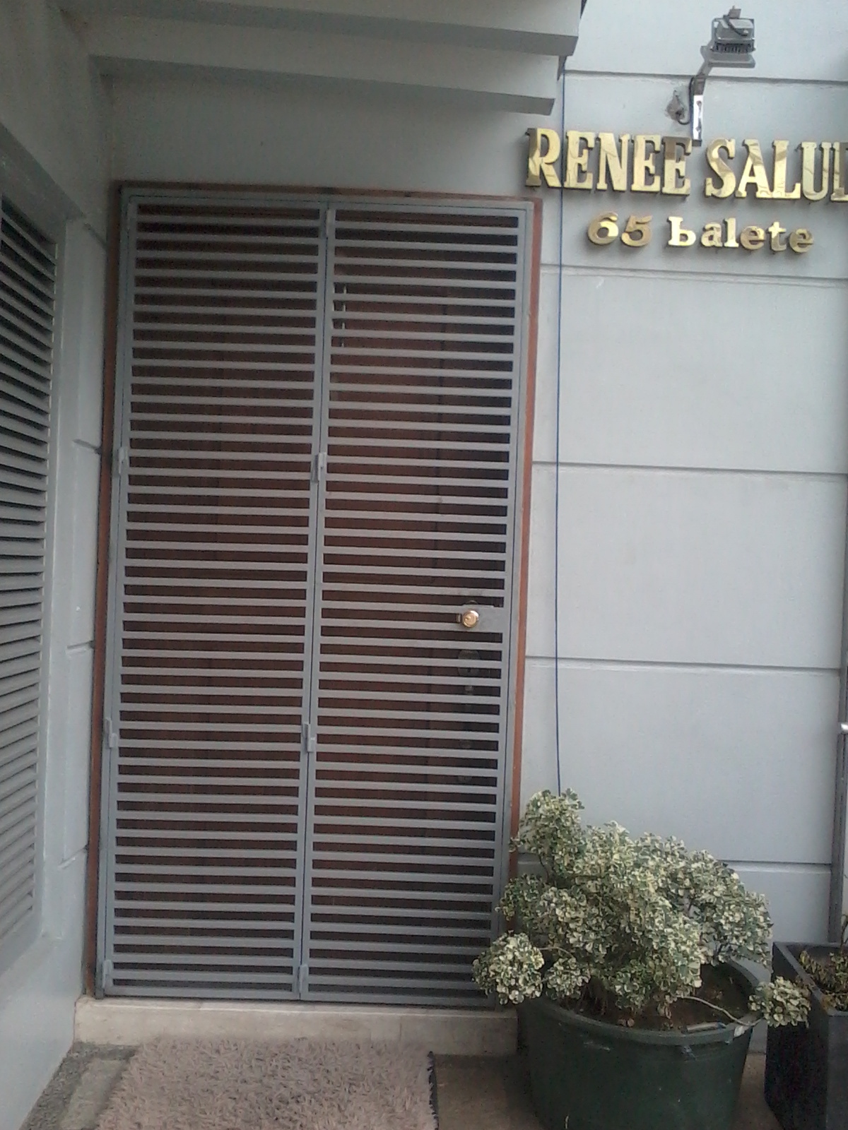 Rene Salud Metal Gate